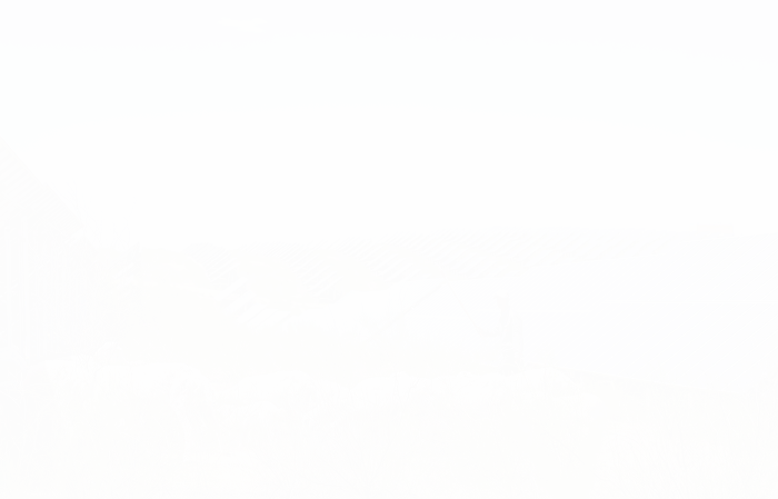 ÓŵÂ88¡¤(ÖйúÇø)¼¯ÍÅ